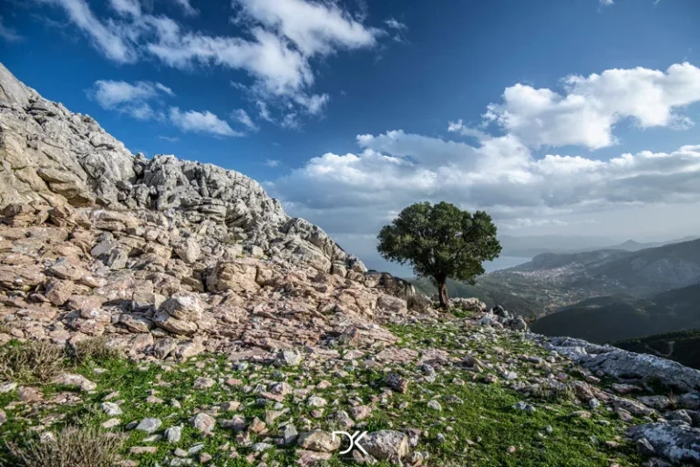 Αξάνεμες