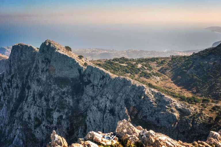 Ορτάρι
