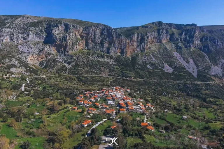 Πεδία Μανίκια
